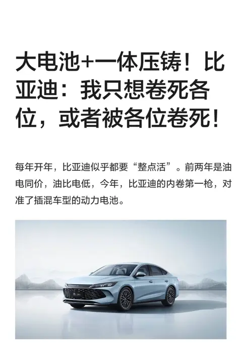 比亚迪四大主力插混升级 210km 续航，8 万级价格 30 万体验